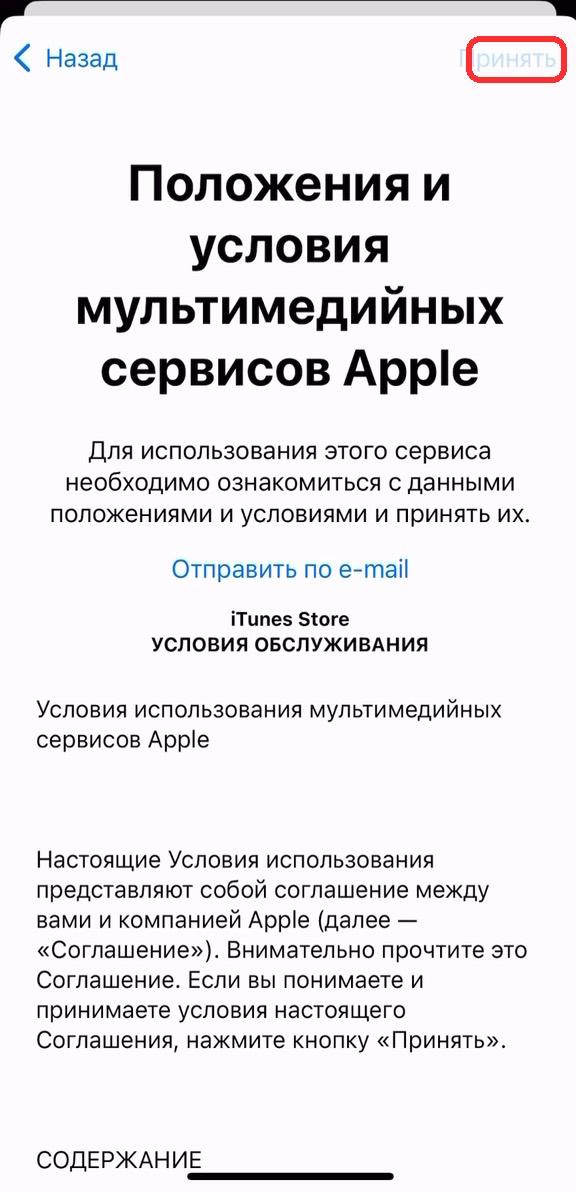 Условия Apple, кнопка «Принять»
